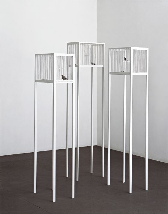 Jaulas (1997), de Jean-Marc Bustamante