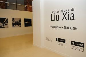 El arte es libre, el artista no siempre