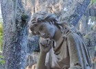 La totalidad de la vida La totalidad de la vida