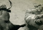 Toro y sangre desde dentro