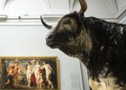 El zoo del Prado