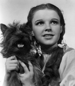 Judy Garland caractyerizada de Dorothy con su perro Totó.