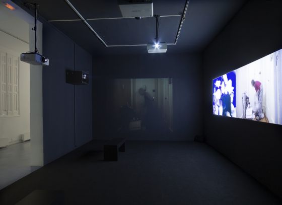 La obra de Akerman en la galería Elba Benítez