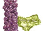 ¿Qué bebes cuando bebes un vino natural?