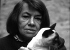 Lo que debemos a la siesta de Patricia Highsmith