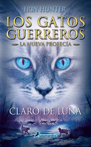 Un divertido diluvio