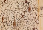 Crear o innovar: ¿el arte contra la ciencia?