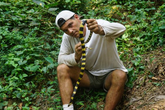 Aventuras sin antídoto en la nueva temporada de ‘Wild Frank’