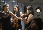 Inmersión en Chaikovski