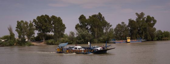 Las marismas de los campos del arroz