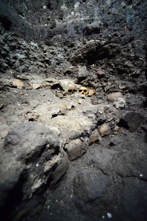 Detalle del gran Tzompantli.