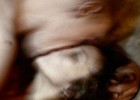 La ‘Pornographia’ de Del Amo La ‘Pornographia’ de Del Amo