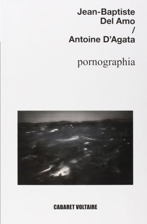 La ‘Pornographia’ de Jean-Baptiste Del Amo