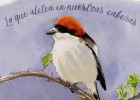 Extremo hermoso Extremo hermoso