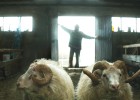 La pel·lícula islandesa ‘Rams’ guanya a la Seminci