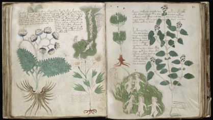 Imágenes del 'Códice Voynich'. Imágenes del 'Códice Voynich'.