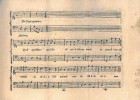 Mozart y Salieri, más colegas que rivales Mozart y Salieri, más colegas que rivales