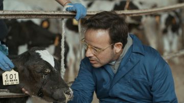 Famosos con ‘Trabajo temporal’