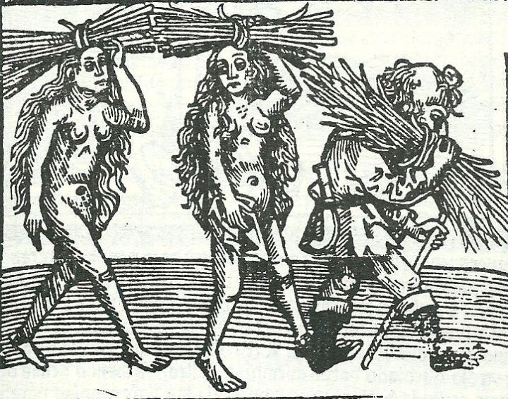 Dibujo del libro 'Calila y Dimna'. Dibujo del libro 'Calila y Dimna'.