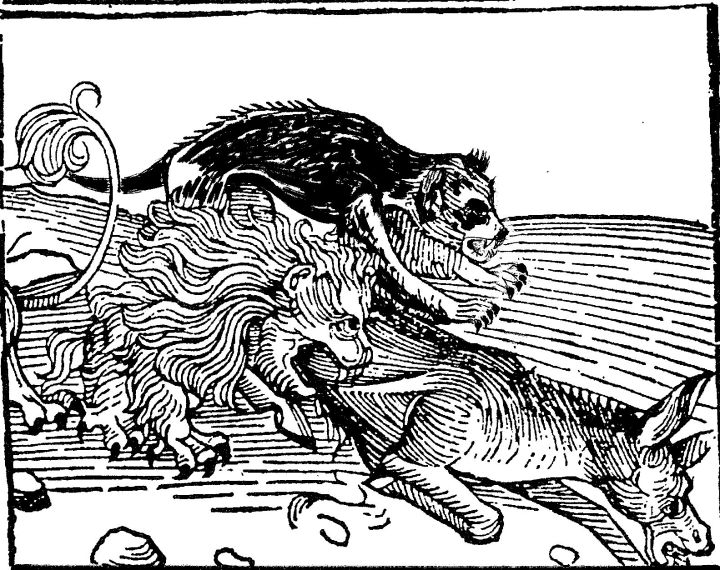 ‘Calila y Dimna’, una modernidad literaria de 1.500 años ‘Calila y Dimna’, una modernidad literaria de 1.500 años