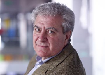 “Estamos prescindiendo del magisterio del pasado”