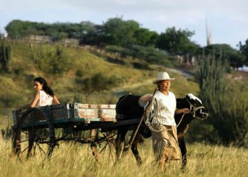 El conflicto colombiano narrado por las mujeres