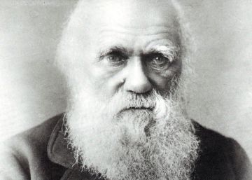 El FBI recupera una carta de Darwin robada por un becario