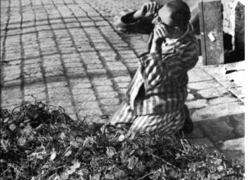 Auschwitz rescata más de 16.000 objetos personales de prisioneros Auschwitz rescata más de 16.000 objetos personales de prisioneros