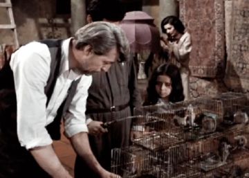Películas para comprender la paternidad