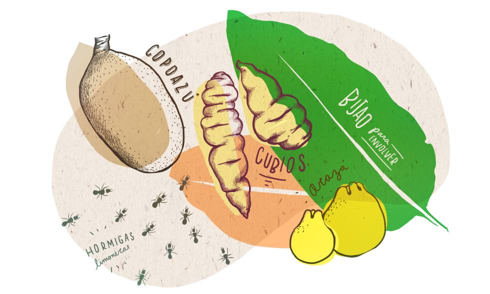 La gastronomía colombiana que sorprende hasta a los colombianos