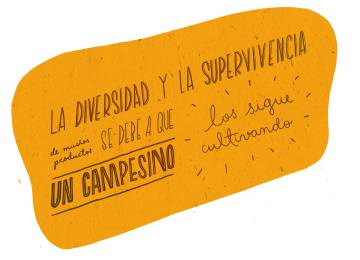 La gastronomía colombiana que sorprende hasta a los colombianos