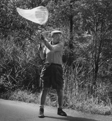 Vladímir Nabokov inventa América