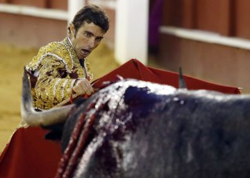 Guapos y vacíos toros de Pablo Romero en la feria de Málaga Guapos y vacíos toros de Pablo Romero en la feria de Málaga