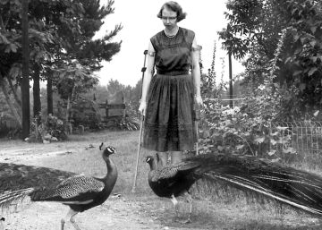 Flannery O’Connor se moja Flannery O’Connor se moja