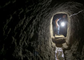 Escarabajos milenarios bajo las calles de Cádiz