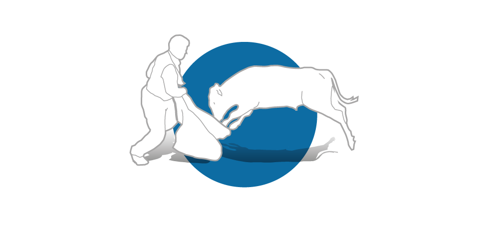 Catálogo de festejos taurinos