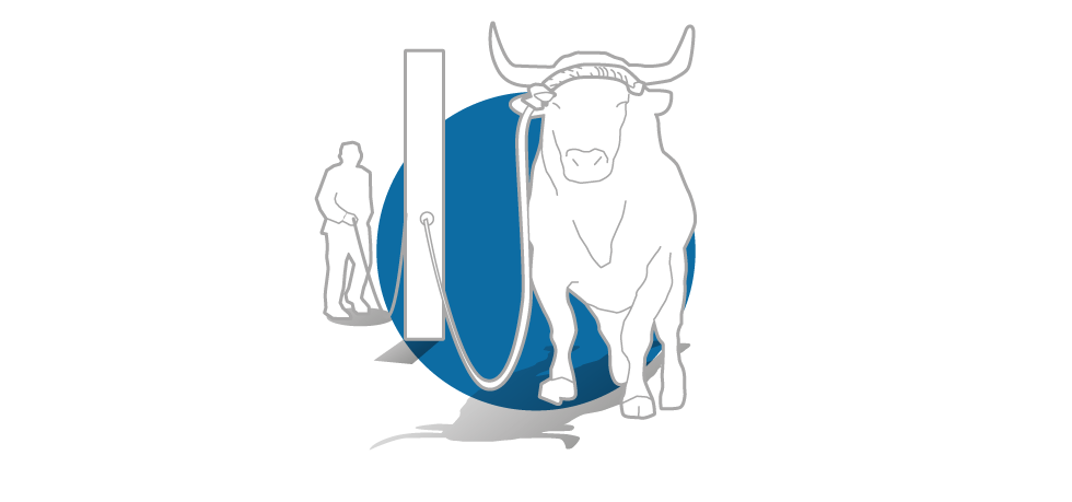 Catálogo de festejos taurinos