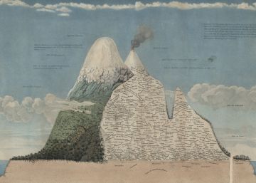 Una fuerza de la naturaleza Una fuerza de la naturaleza