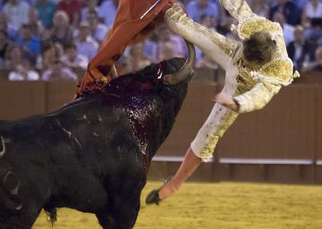 Una oreja o una caja de yemas Una oreja o una caja de yemas