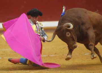 La consulta antitaurina de San Sebastián, frenada en los juzgados La consulta antitaurina de San Sebastián, frenada en los juzgados