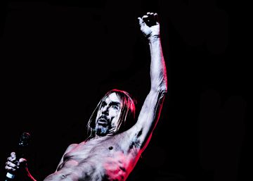 Iggy Pop regresa tras una década a Argentina: “Fucking mil gracias”