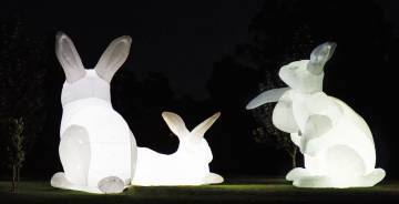 "Intromisión" de la artista australiana Amanda Parer "Intromisión" de la artista australiana Amanda Parer