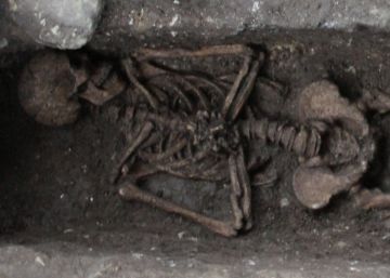 Una excavación aporta una nueva visión de la colonización de Asia Una excavación aporta una nueva visión de la colonización de Asia