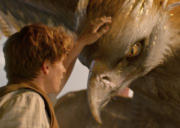 ‘Animales fantásticos’ y la historia como ‘fan-fiction’