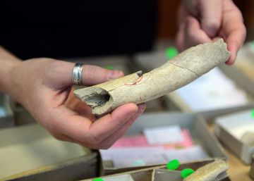 Las cuevas de Goyet prueban que los neandertales eran caníbales Las cuevas de Goyet prueban que los neandertales eran caníbales