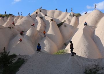 Una piedra también hace naturaleza Una piedra también hace naturaleza