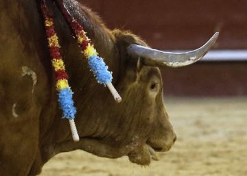 Generoso y desafortunado indulto del buen toro que cerró la feria de Fallas