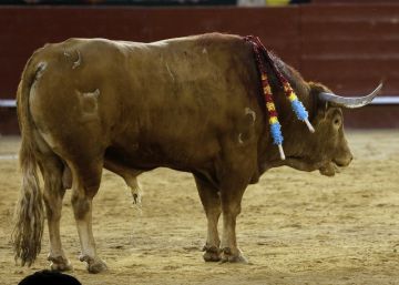 ‘Pasmoso’, un indulto pirotécnico ‘Pasmoso’, un indulto pirotécnico