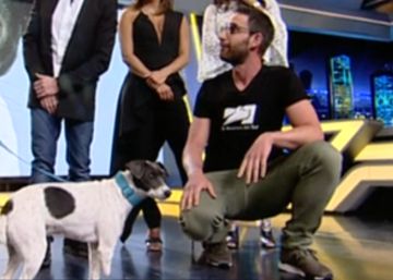 Los cazadores se enfadan con Dani Rovira y ‘El Hormiguero’