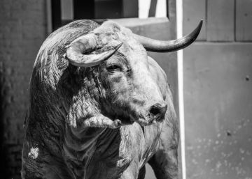 Las Ventas y la Maestranza celebran este domingo corridas de alto voltaje